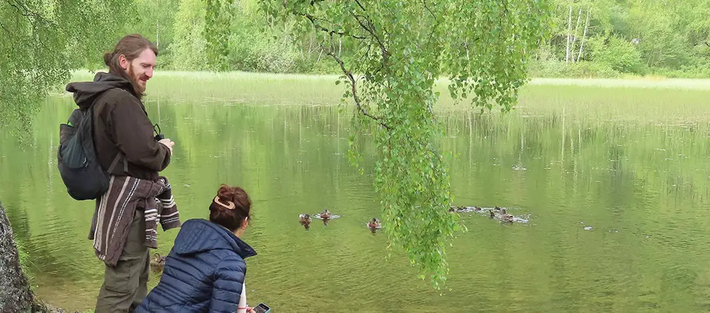 Guests birdwatching